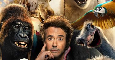 14 مليون دولار إيرادات فيلم روبرت داونى جونيور Dolittle خلال يومين