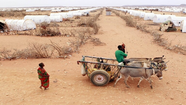 50 مليون في غرب أفريقيا مهددون بخطر المجاعة