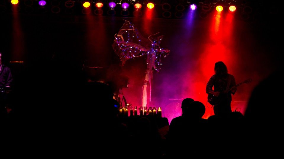 إزاحة الستار عن نجوم مهرجان الموسيقى العربية في مصر